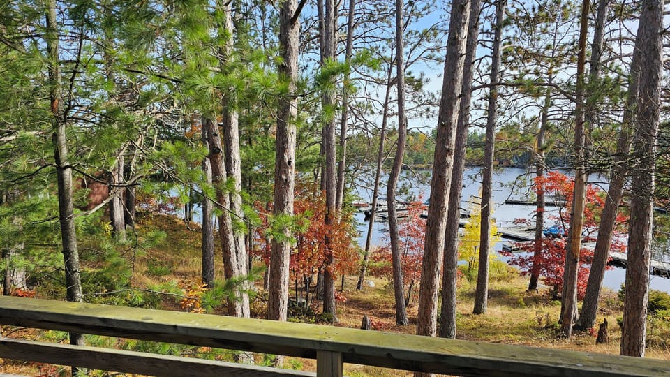 View from deck