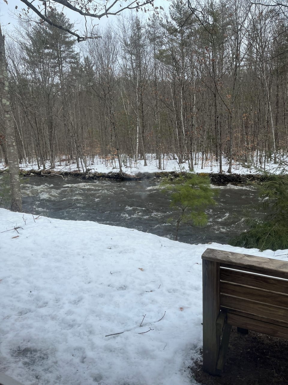 River in winter