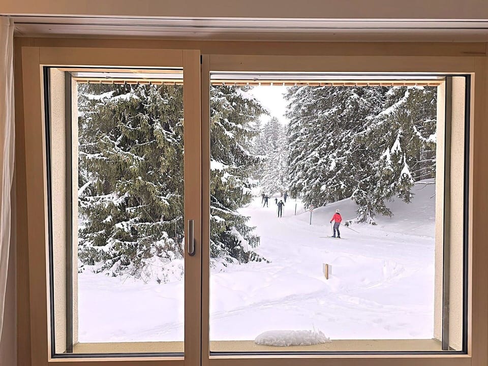 Wood, Winter, Snow, Freezing, Ice, Daylighting, Ice Cap, Frost