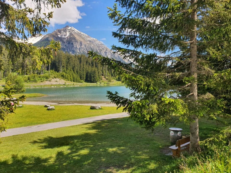 Water, Plant, Sky, Cloud, Mountain, Natural Landscape, Tree, Larch, Lake, Land Lot
