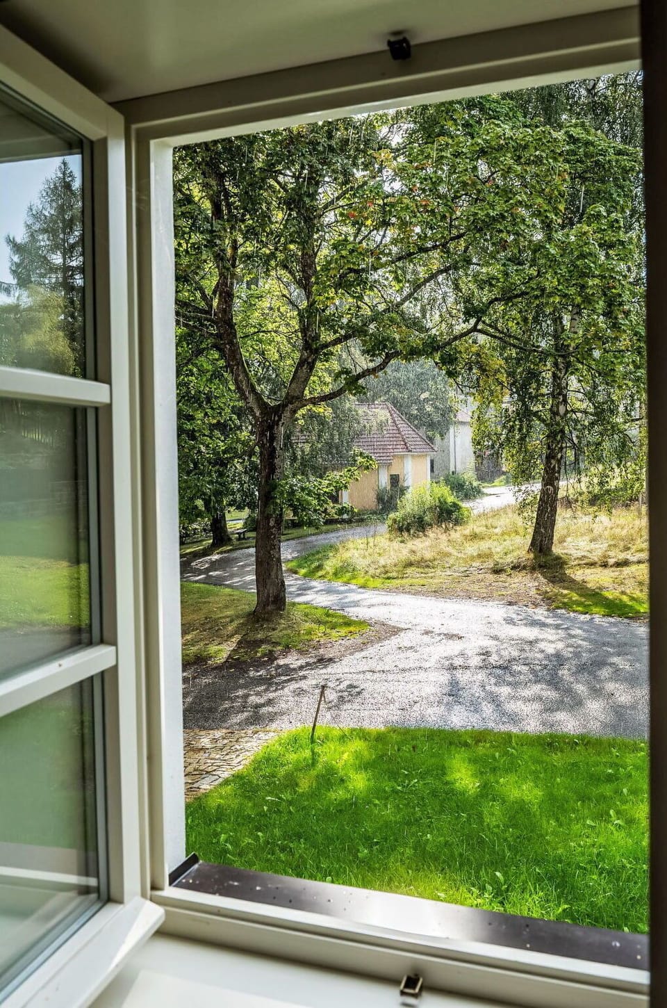 Plant, Property, Window, Building, Nature, Leaf, Shade, Botany, Interior Design