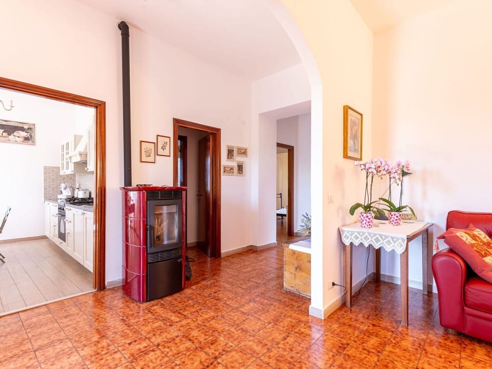 Picture Frame, Property, Furniture, Plant, Wood, Houseplant, Orange, Interior Design, Table, Hall