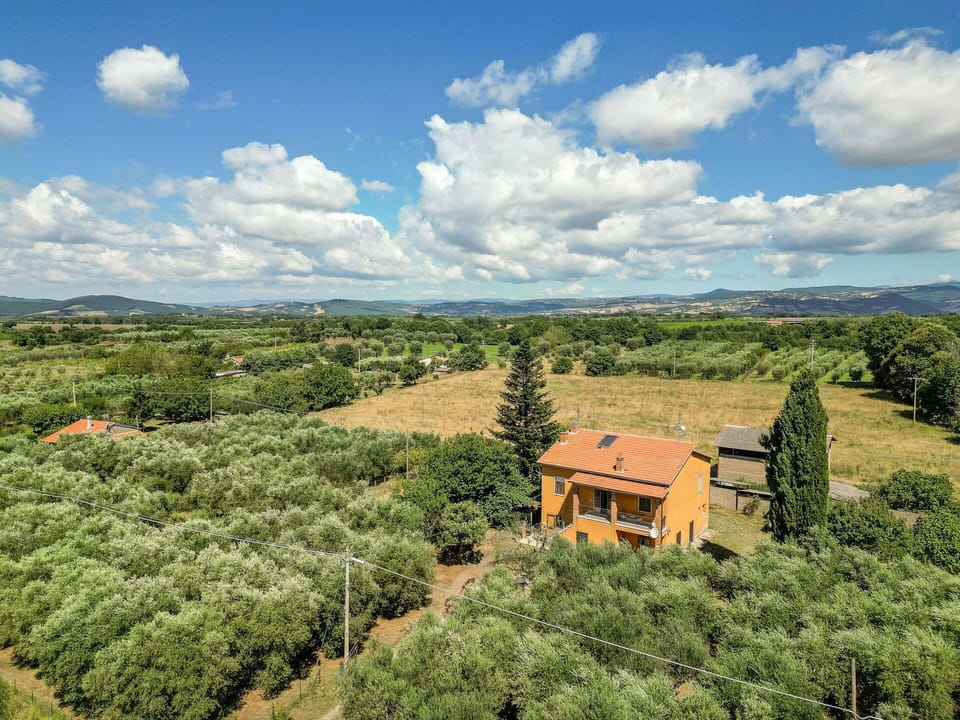 Cloud, Sky, Plant, Plant Community, Natural Landscape, Land Lot, Tree, Highland, Cumulus, Building