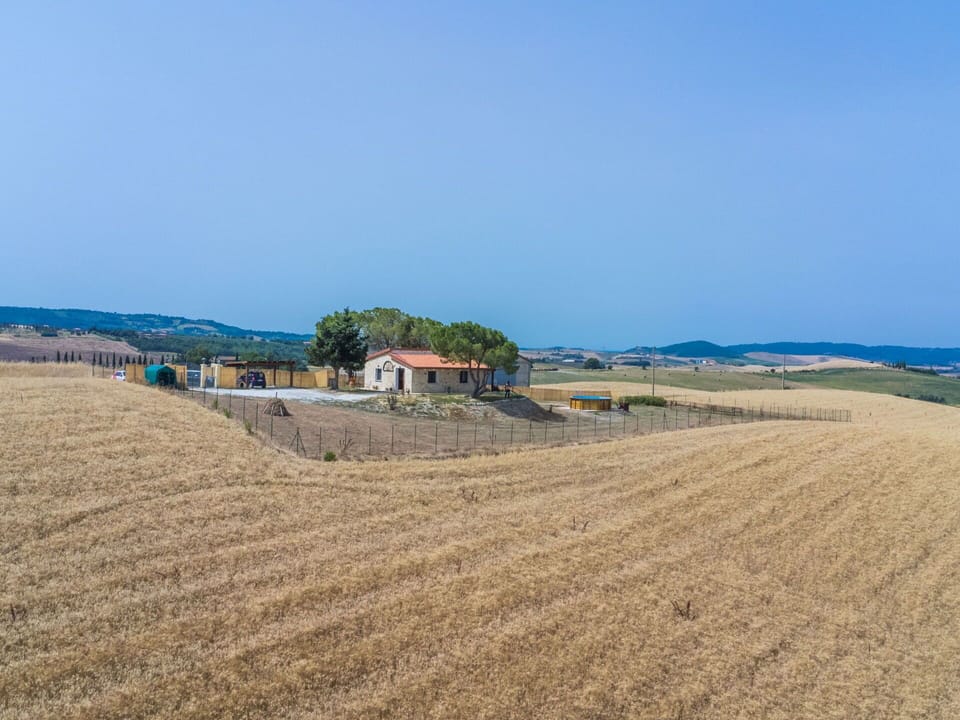 Sky, Plant, Grass, Wood, Agriculture, Grassland, Slope, Plain, Natural Landscape, Landscape