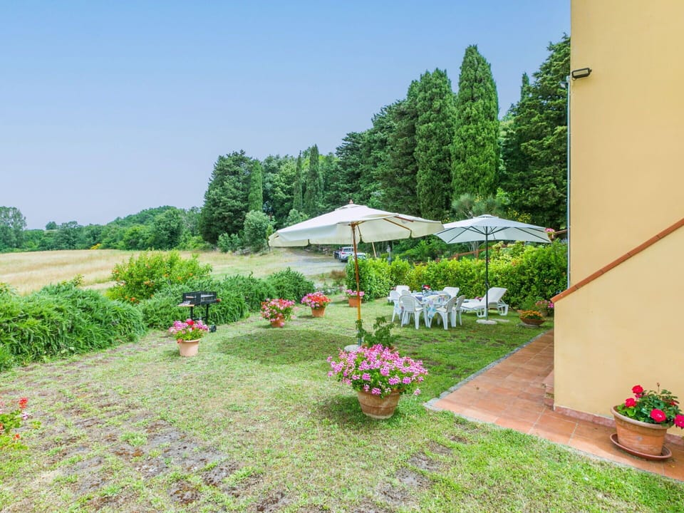 Plant, Flower, Sky, Flowerpot, Green, Houseplant, Tree, Tent, Land Lot, Grass