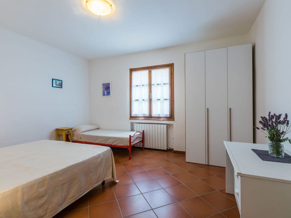 Plant, Property, Window, Furniture, Houseplant, Wood, Flowerpot, Lighting, Interior Design