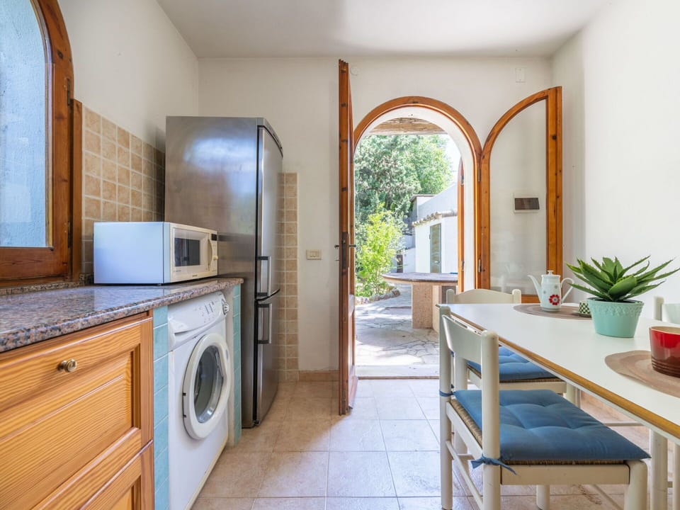 Plant, Cabinetry, Property, Countertop, Furniture, Houseplant, Flowerpot, Table, Kitchen Appliance, Wood