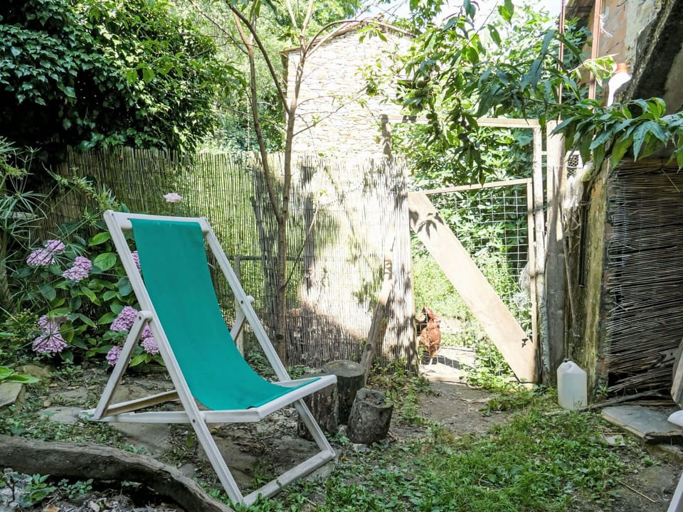 Plant, Outdoor Furniture, Vegetation, Chair, Grass, Fence, Groundcover, Shrub, Armrest, Landscape
