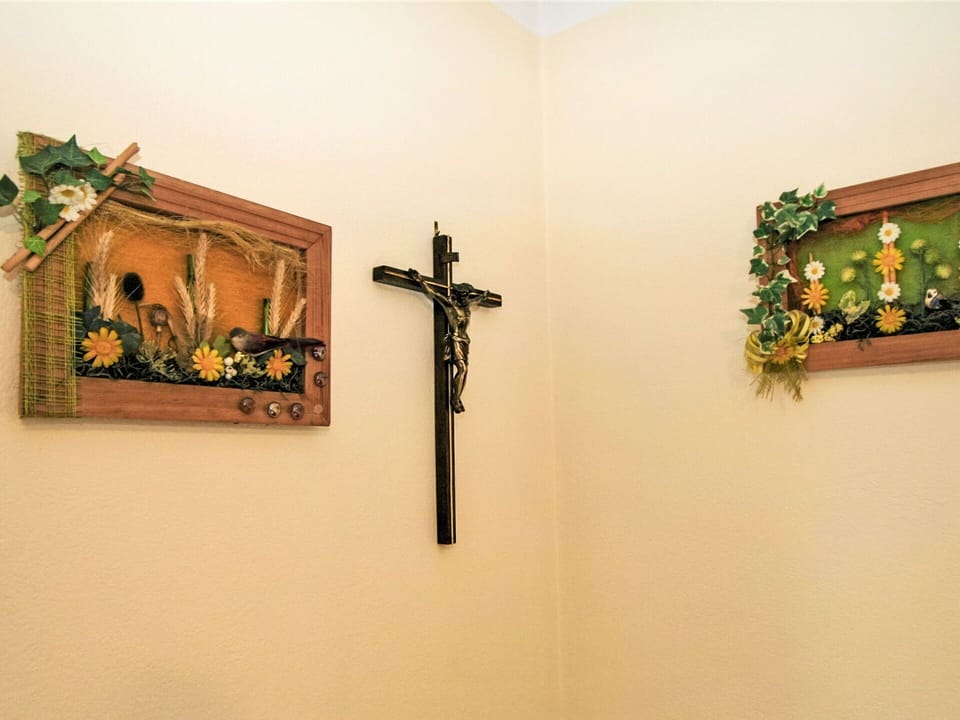 Plant, Wood, Flower, Rectangle, Art, Houseplant