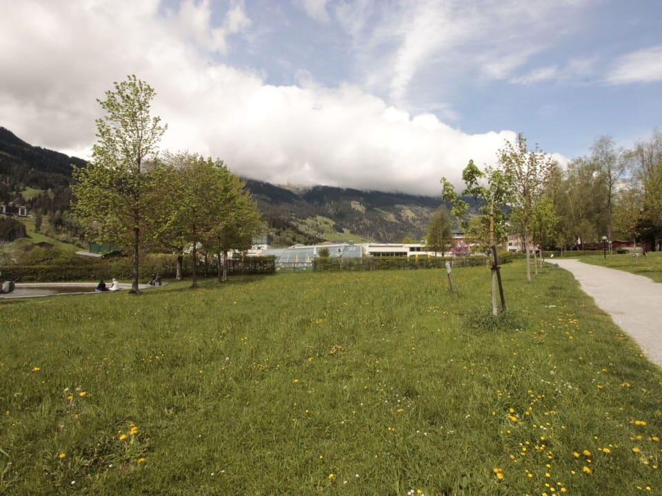 Grass, Green, Mountainous Landforms, Hill, Grassland, Landscape, Land Lot, Plain, Mountain Range, Groundcover