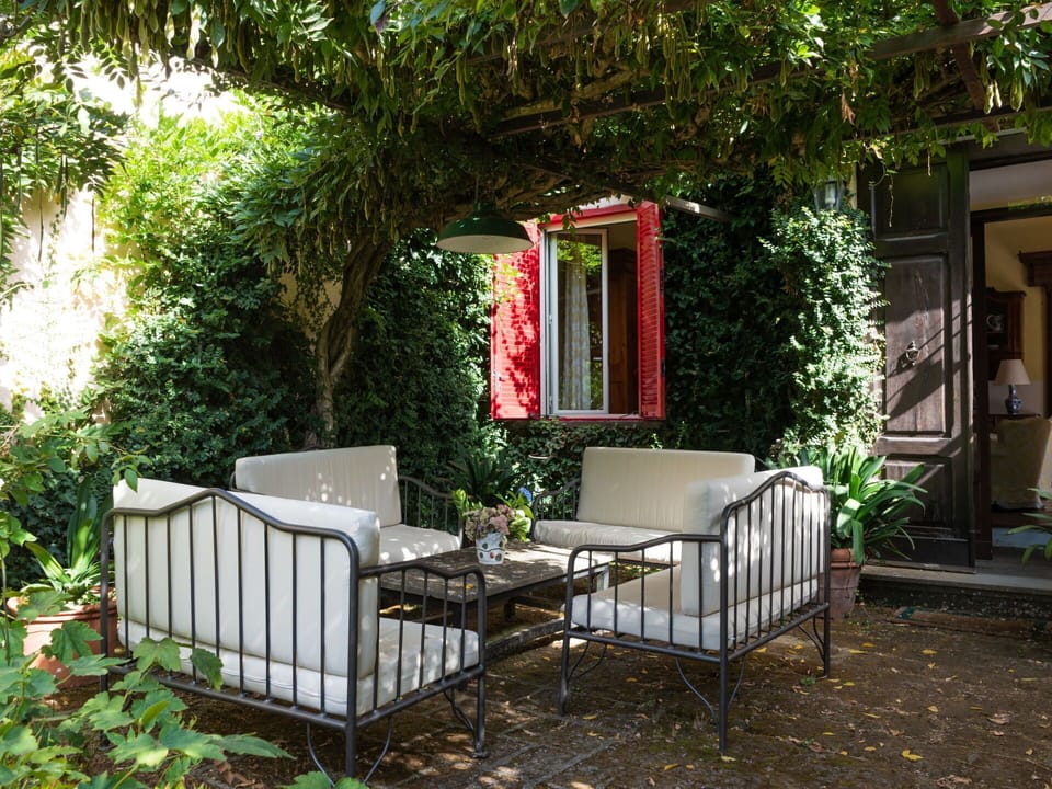 Plant, Building, Property, Botany, Window, Grass, Vegetation, Wood, Biome, Cottage