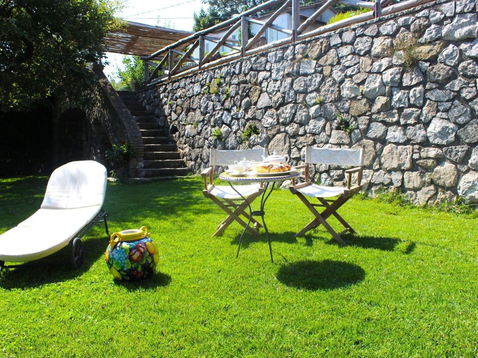 Plant, Furniture, Property, Plant Community, Leaf, Chair, Outdoor Furniture, Botany, Table, Land Lot