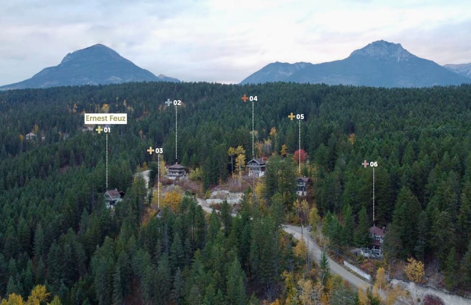 Explore the charming architecture surrounded by lush, evergreen trees that evoke a sense of tranquility.