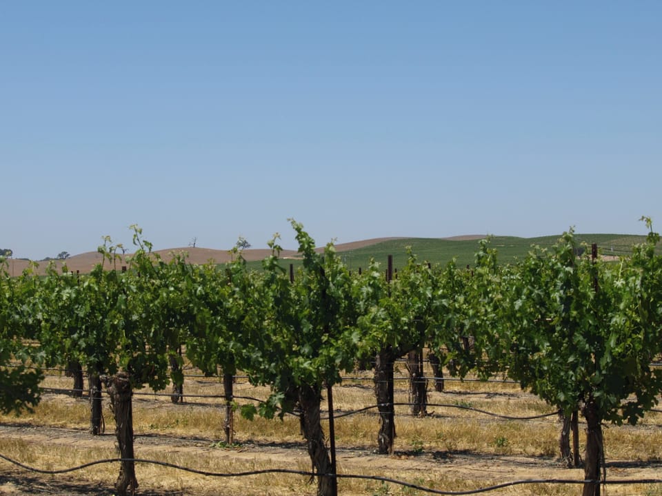 J. Lohr Winery