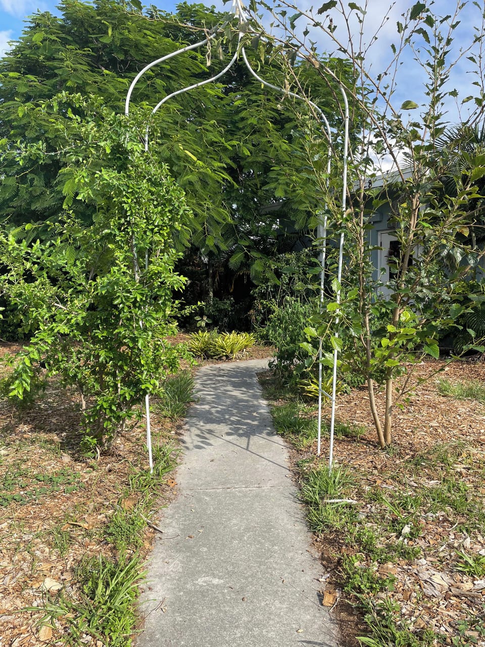 Pathway to the entrance of the house.