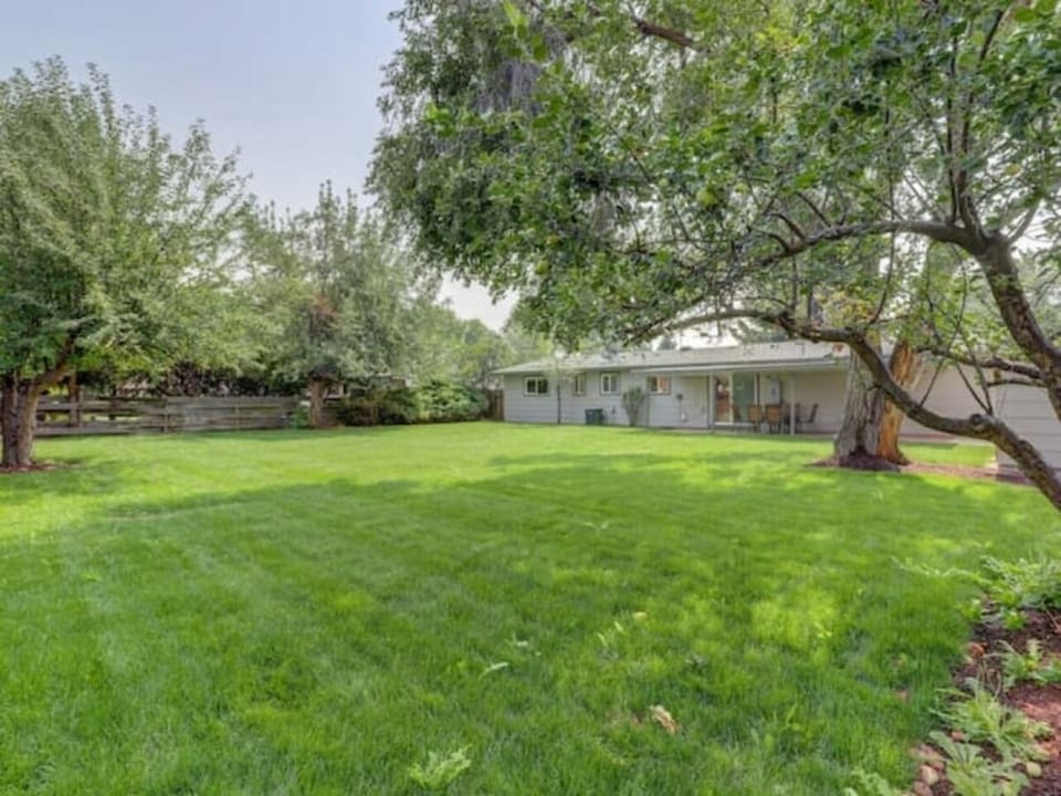 Back of home and large backyard