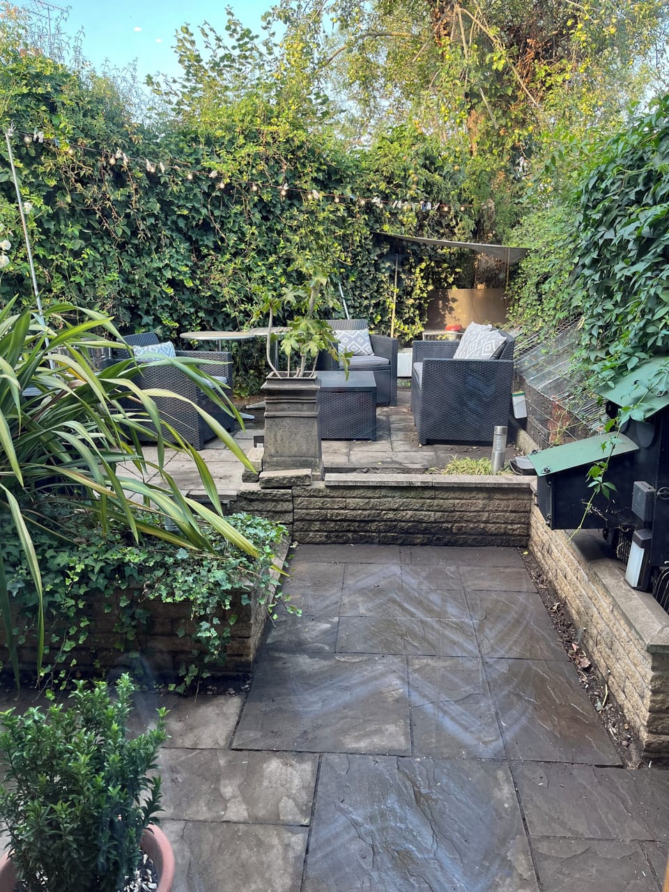 Back garden