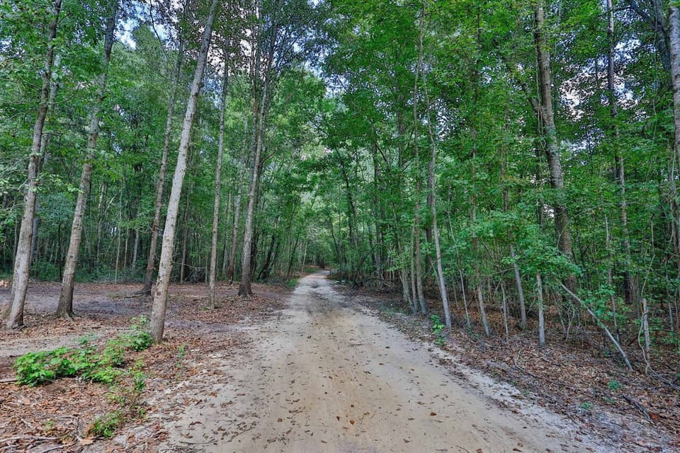 driveway to the cottage