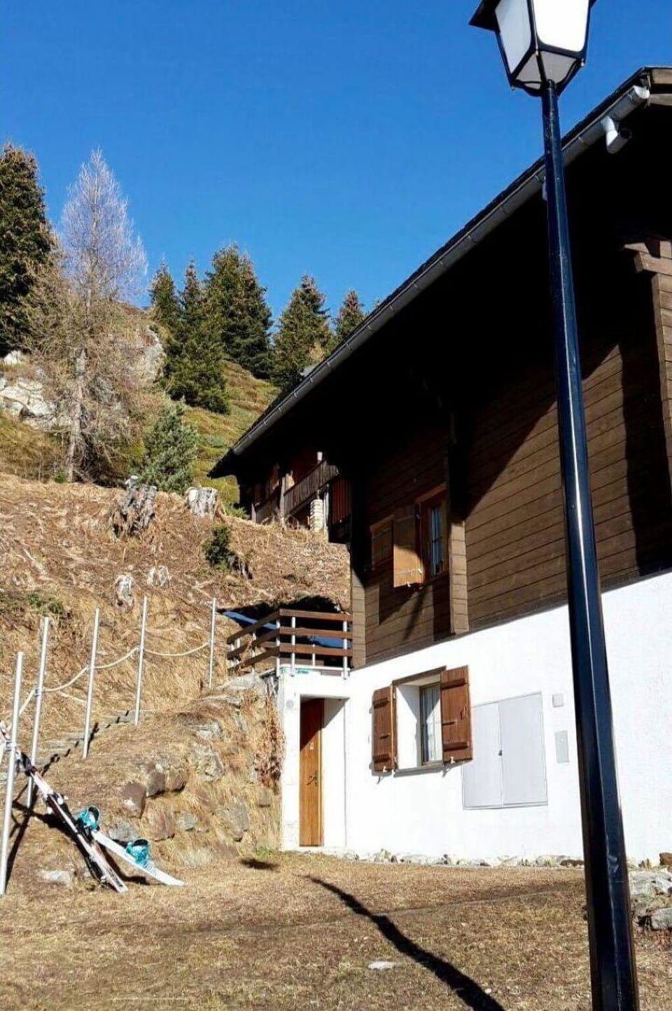 Cottage, Home, Slope, Larch, Siding, Log Cabin