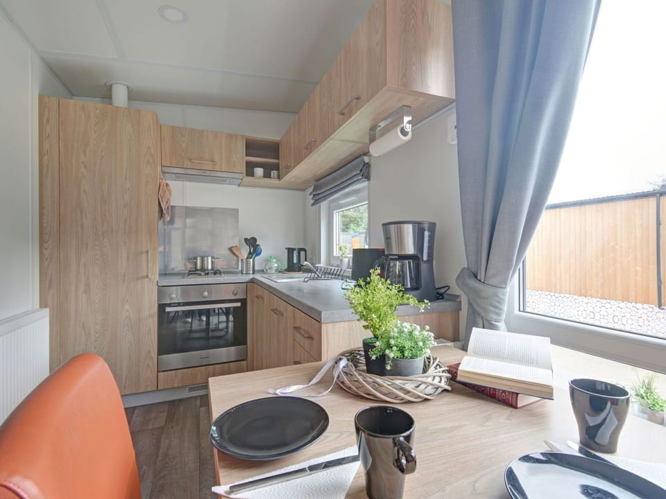 Plant, Cabinetry, Property, Furniture, Building, Wood, Interior Design, Houseplant, Flooring, Countertop