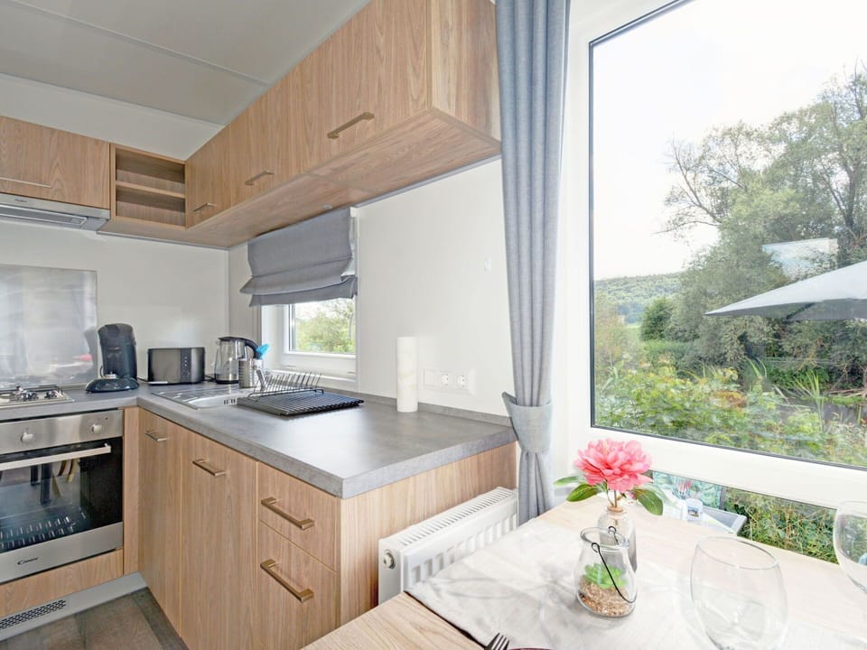 Cabinetry, Countertop, Plant, Property, Table, Furniture, Flower, Window, Sink, Kitchen Sink