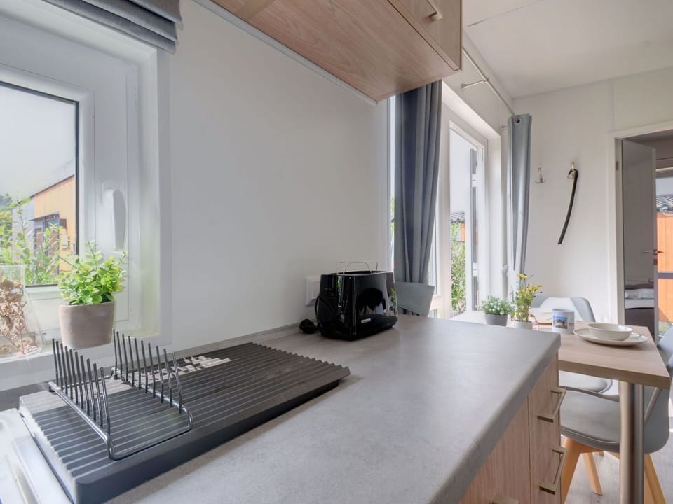 Plant, Wood, Window, Table, Flooring, Floor, Shade, Comfort