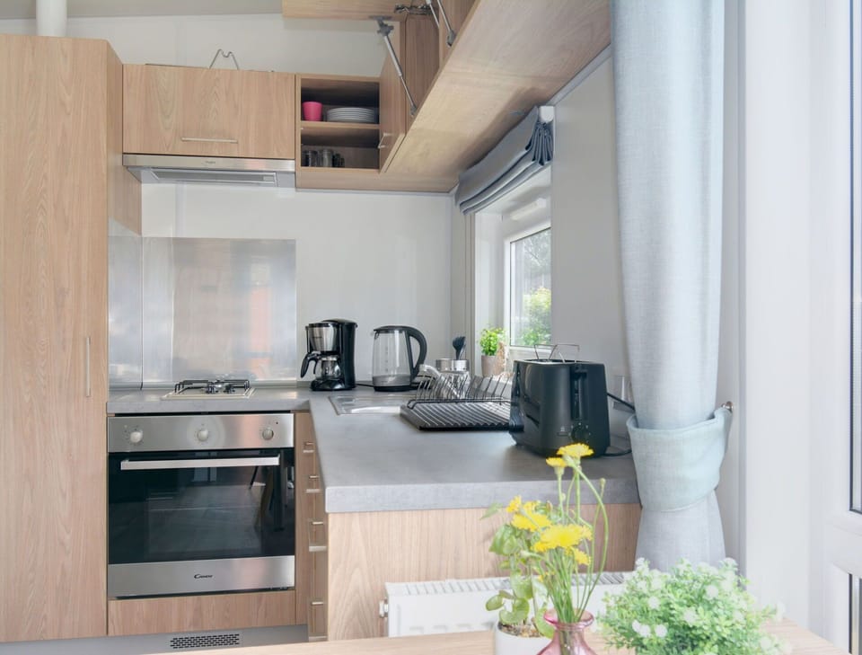 Cabinetry, Countertop, Tap, Plant, Property, Sink, Furniture, Flower, Kitchen Sink, Flowerpot