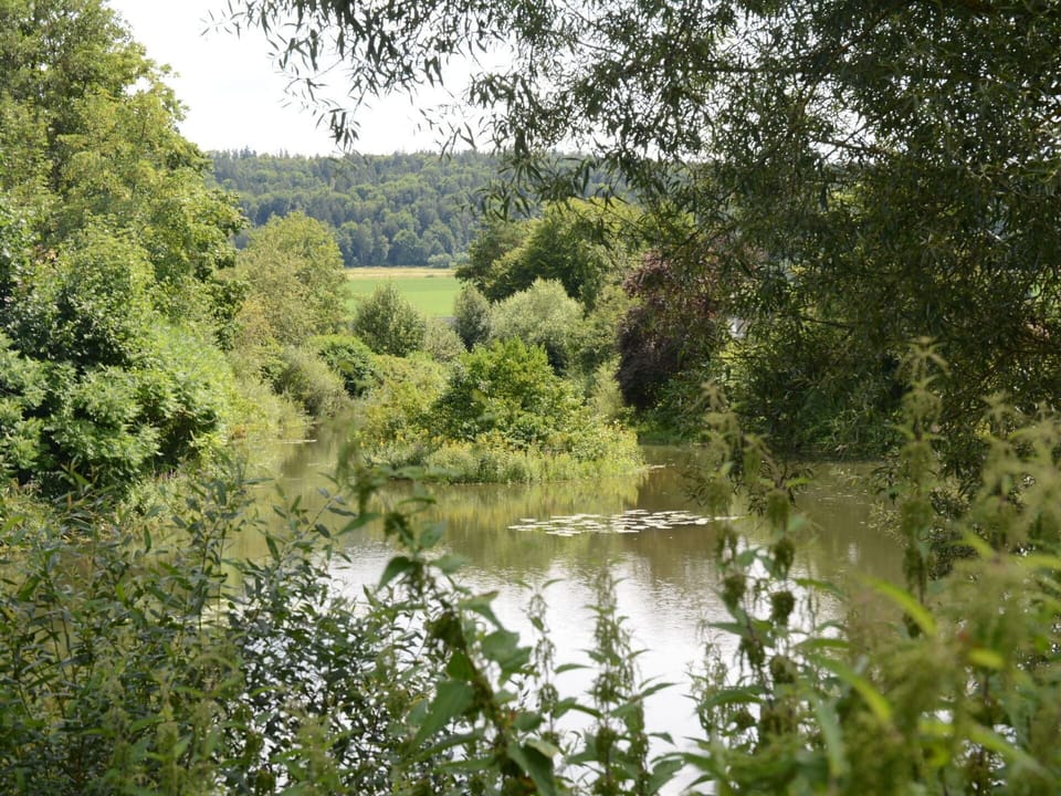 Water, Plant, Water Resources, Tree, Natural Landscape, Lake, Sky, Watercourse