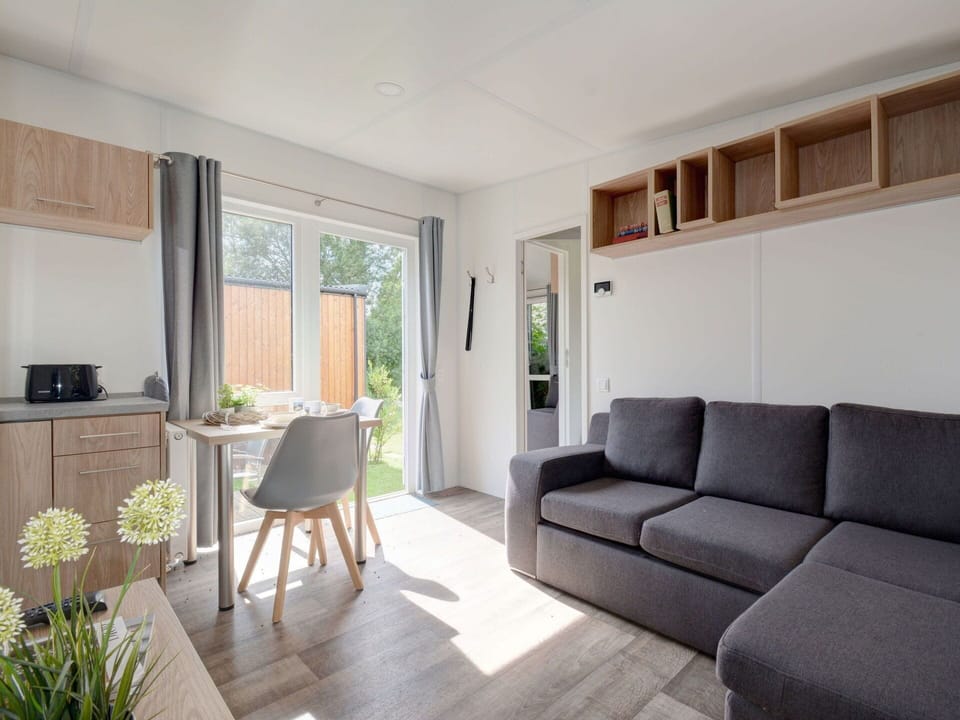 Furniture, Plant, Table, Couch, Wood, Living Room, Shade, Flooring, Floor