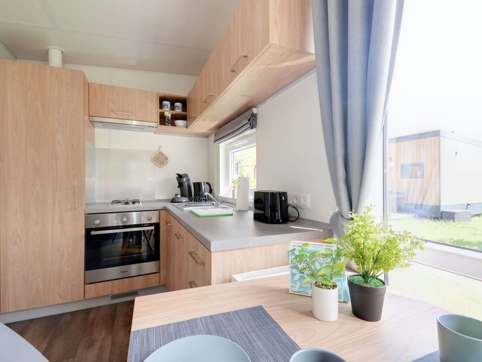 Plant, Cabinetry, Property, Furniture, Countertop, Flowerpot, Building, Kitchen Stove, Interior Design, Window