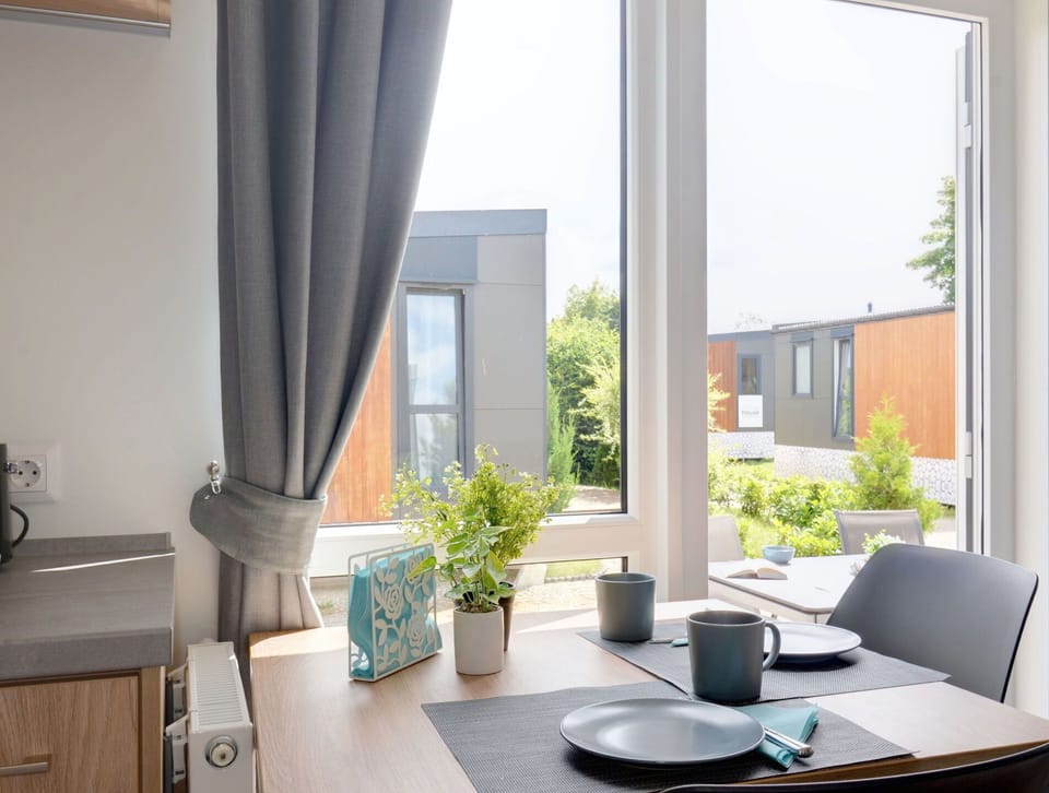 Plant, Furniture, Property, Table, Building, Window, Houseplant, Comfort, Interior Design, Shade