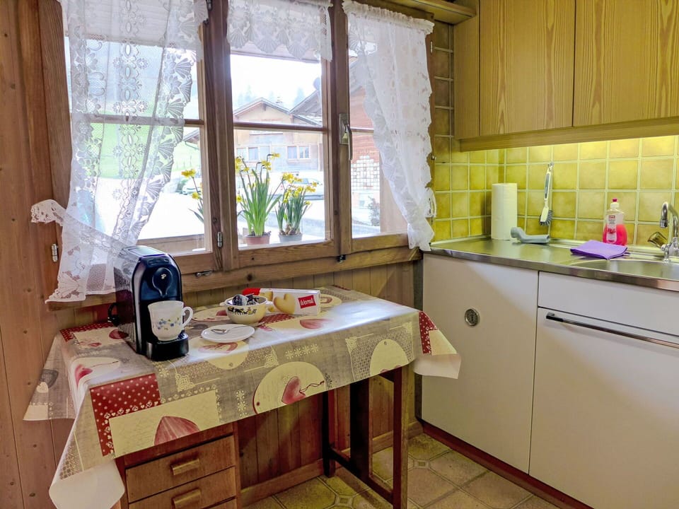 Cabinetry, Property, Kitchen Sink, Countertop, Sink, Kitchen, Wood, Table, Window, Tap