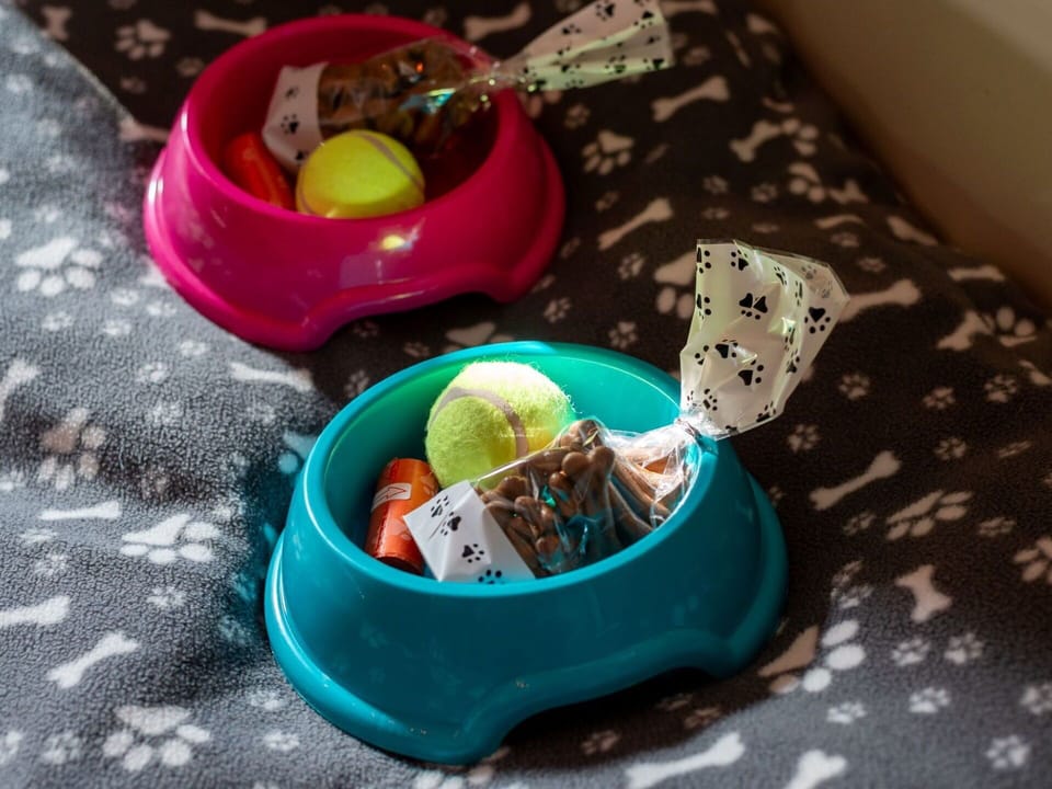 Water, Plant, Property, Sky, Swimming Pool, Azure, Building, Grass, Rectangle, Shade