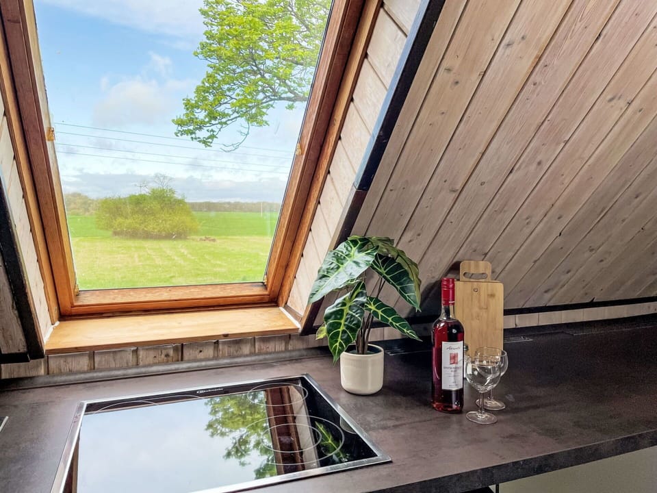 Plant, Property, Window, Sky, Cloud, Bottle, Flowerpot, Wood, Interior Design