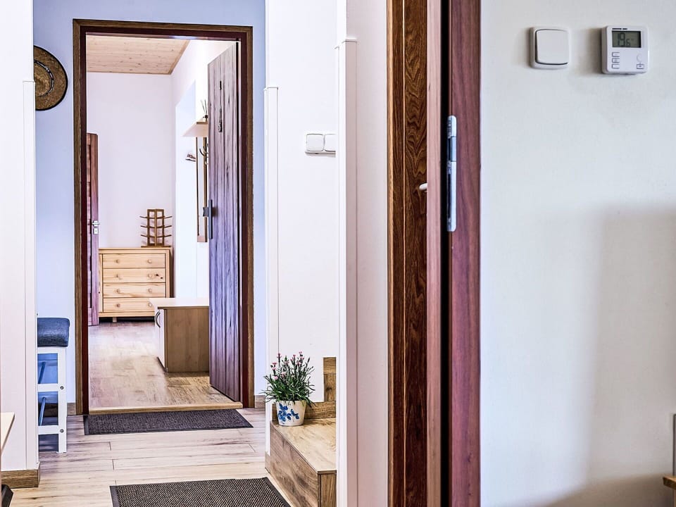 Plant, Building, Door, Wood, Floor, Home Door, Houseplant, Flooring