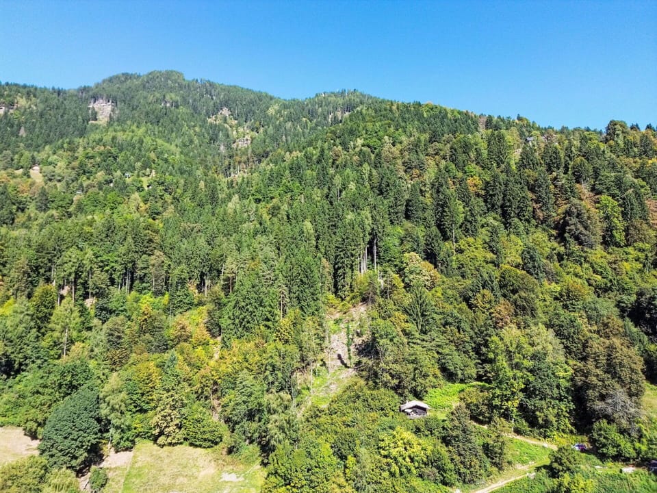 Mountainous Landforms, Tree, Leaf, Mountain, Natural Environment, Green, Nature, Vegetation, Forest, Natural Landscape