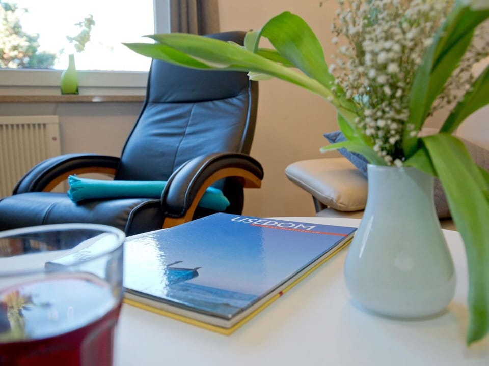 Flower, Table, Furniture, Plant, Tableware, Azure, Couch, Houseplant, Flowerpot, Interior Design