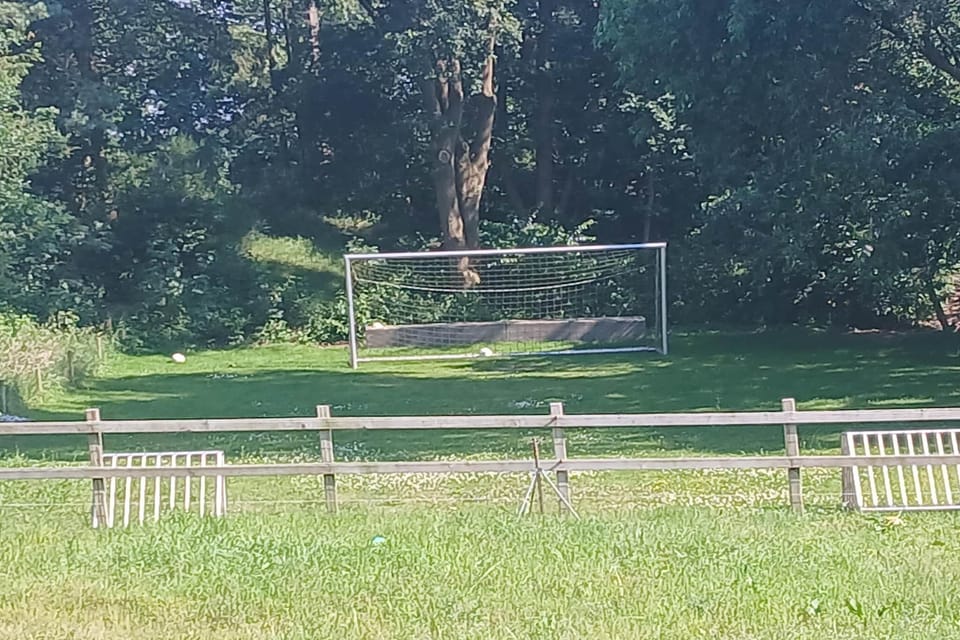 View from Holiday Home [summer]