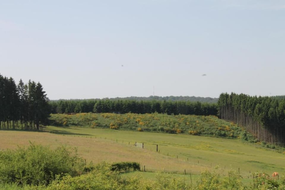 Region [summer] (>5 km)