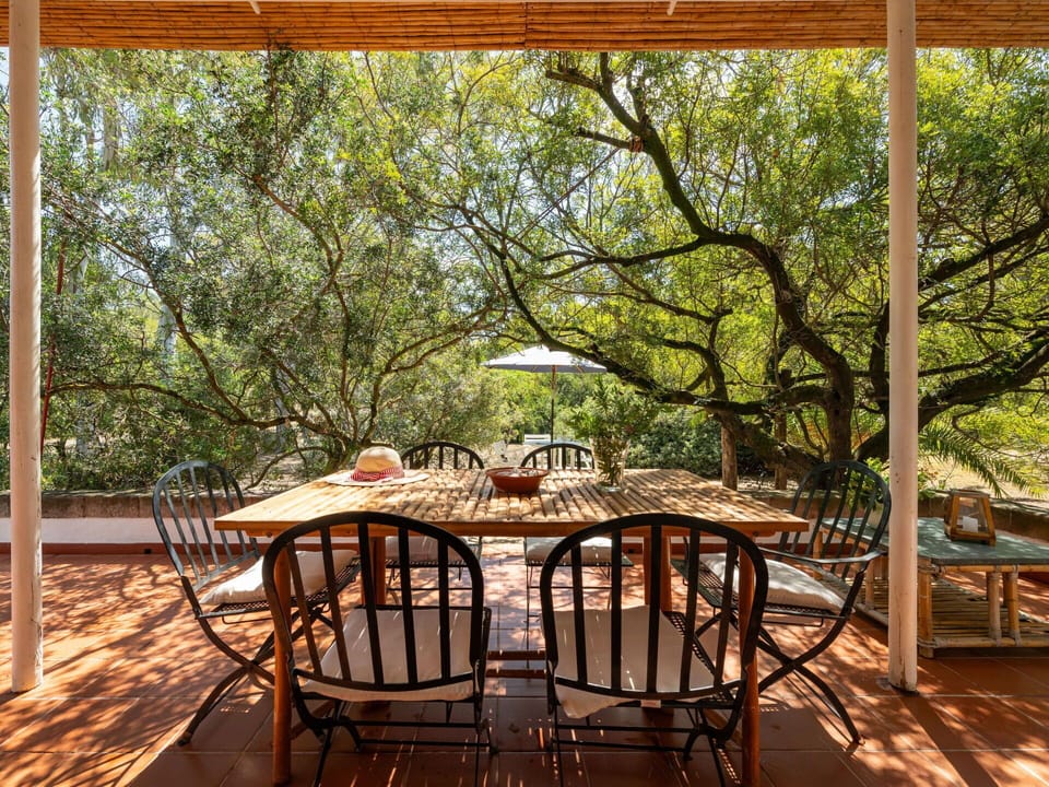 Table, Furniture, Property, Nature, Wood, Chair, Shade, Botany, Outdoor Furniture, Outdoor Table