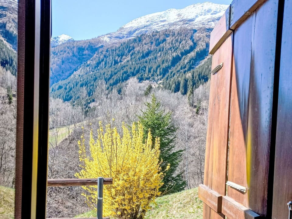 Sky, Plant, Nature, Mountain, Flower, Wood, Larch, Natural Landscape, Biome, Landscape