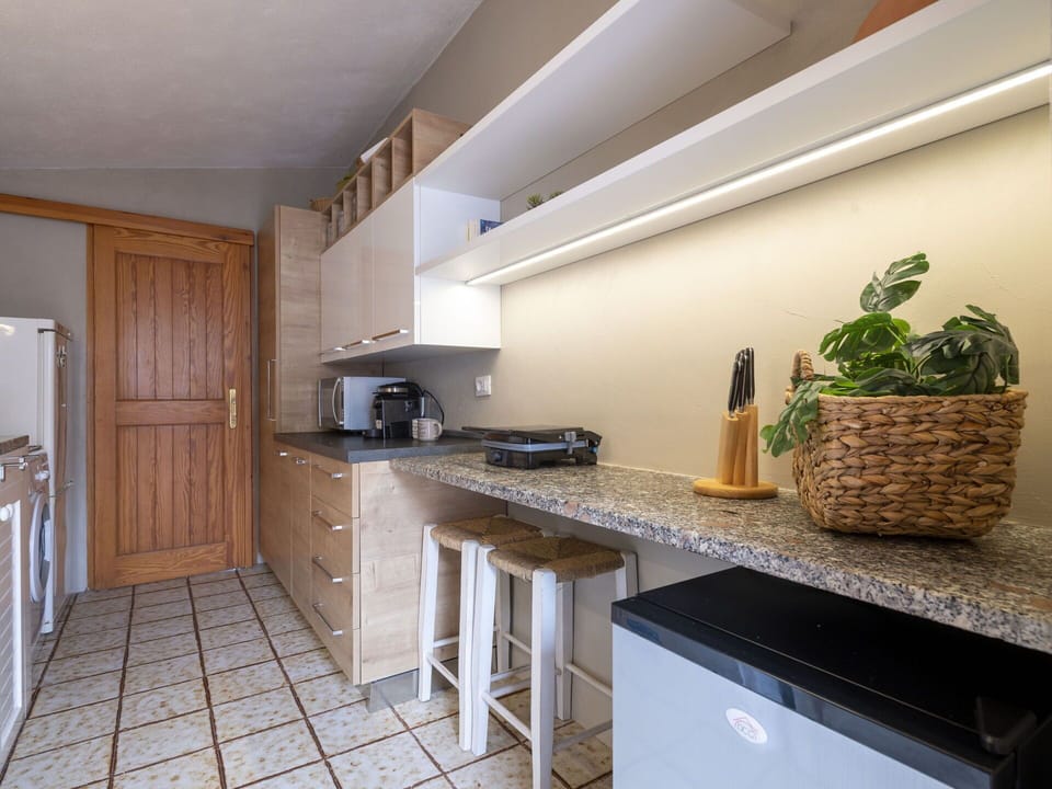 Countertop, Cabinetry, Property, Furniture, Plant, Kitchen Appliance, Kitchen, Kitchen Stove, Wood, Building