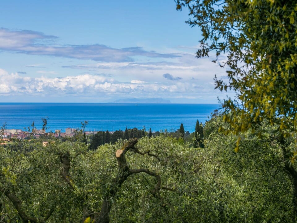 Cloud, Sky, Water, Daytime, Azure, Blue, Tree, Vegetation, Coastal And Oceanic Landforms, Mountain