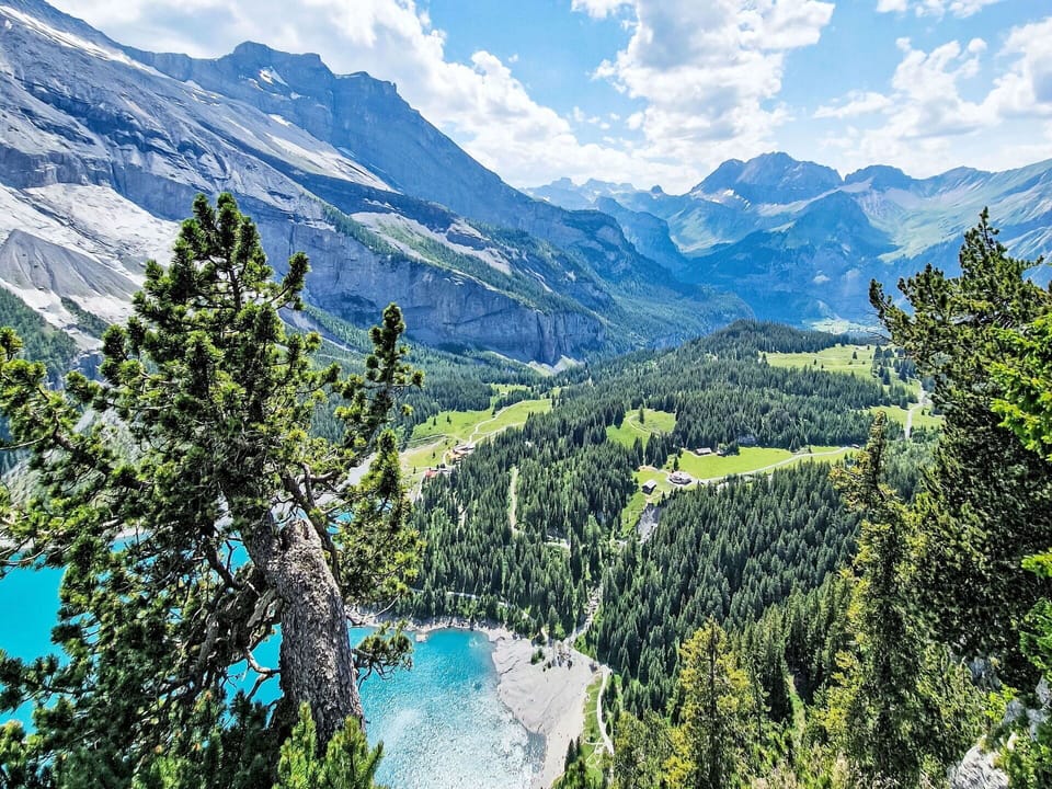 Cloud, Sky, Mountain, Natural Landscape, Larch, Tree, Terrain, Evergreen, Valley, Landscape