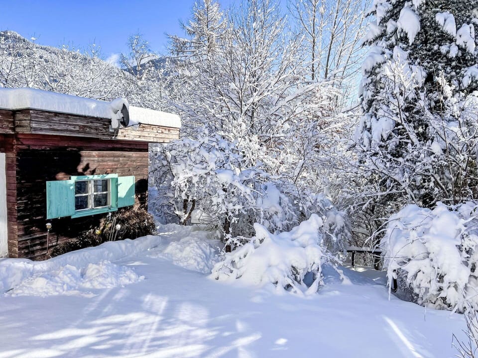 Snow, Sky, Building, Branch, Slope, Tree, Window, Natural Landscape, Twig, Freezing