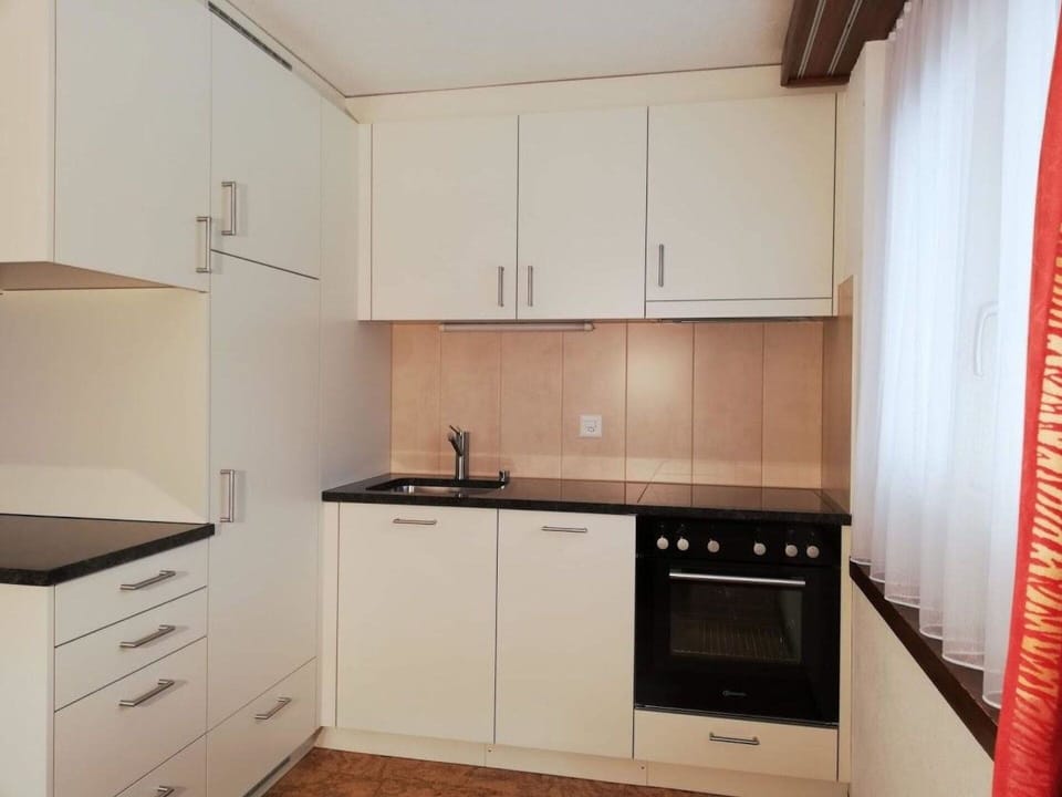 Cabinetry, Countertop, Property, Furniture, Building, Kitchen Sink, Kitchen Stove, Kitchen, Kitchen Appliance, Wood