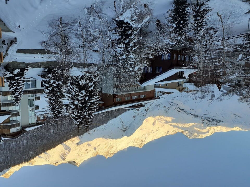 Water, Building, Snow, World, Plant, Nature, Branch, Slope, Freezing, House