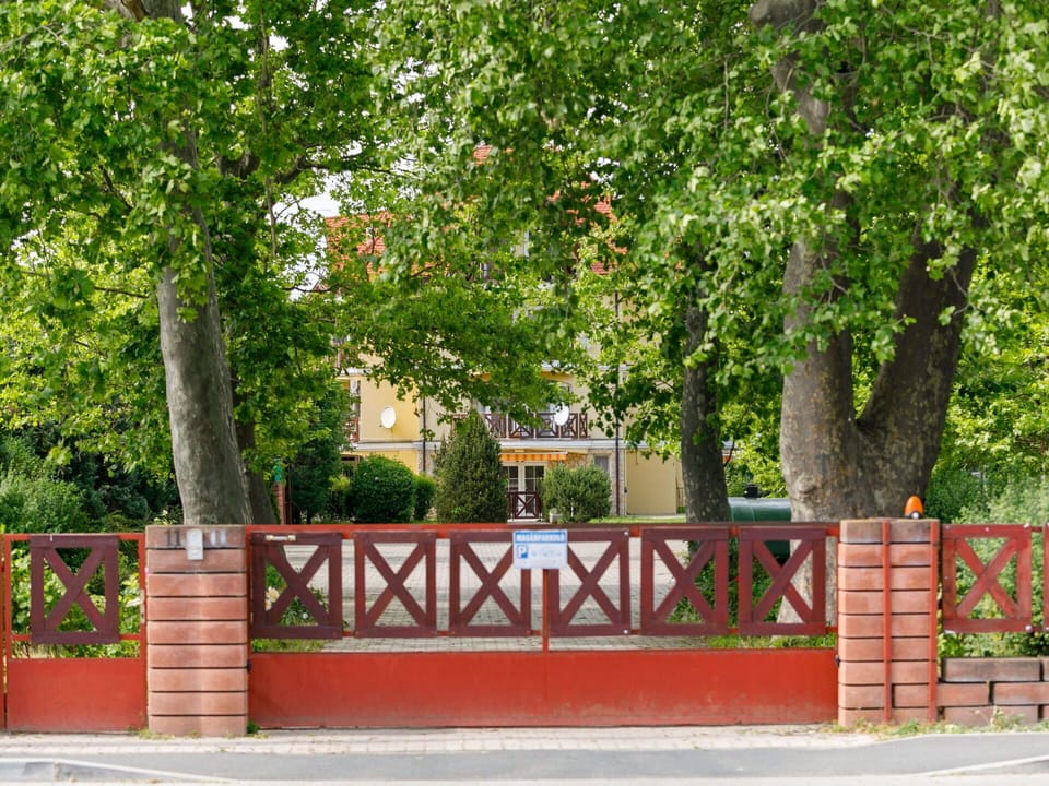 Plant, Road Surface, Infrastructure, Tree, Fence, Grass, Window, Asphalt, Public Space, Woody Plant