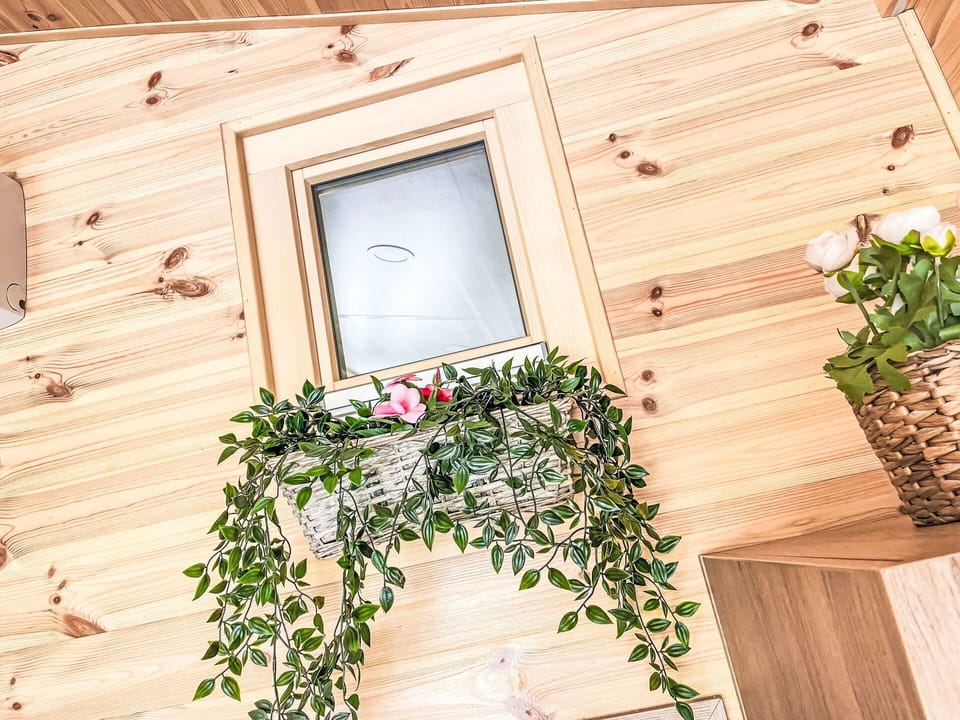 Wood, Wood Stain, Plank, Hardwood, Natural Material, Plywood, Lumber, Houseplant, Floristry