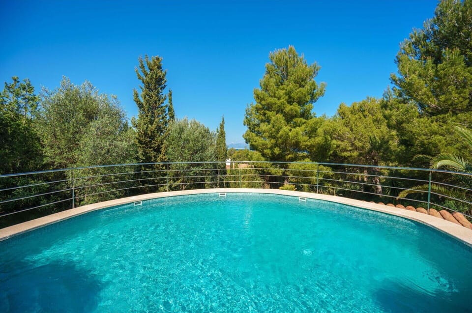 Water, Water Resources, Plant, Sky, Property, Swimming Pool, Nature, Azure, Natural Landscape, Botany